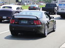 DSC03487.JPG
