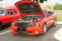 DSC01355.JPG
