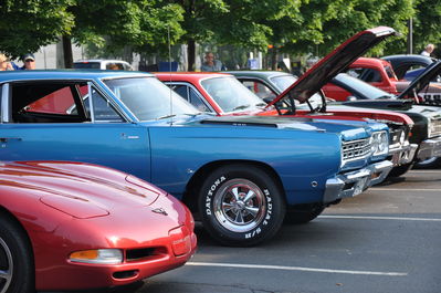 DSC_0420.JPG