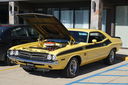 Filename=DSC05785.JPG
Filesize=473KiB
Dimensions=2047x1361
Date added=Jul 20, 2016 DSC05785.JPG