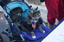 DSC05664.JPG