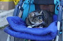DSC05672.JPG