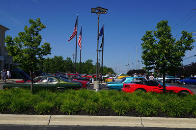 DSC04999.JPG