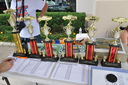 Filename=DSC_0076.JPG
Filesize=599KiB
Dimensions=2048x1360
Date added=Aug 07, 2015 DSC_0076.JPG